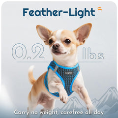 Eagloo small dog harness detail showing reflective bands.