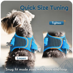 Eagloo color-matched small dog harness and leash set shown together.