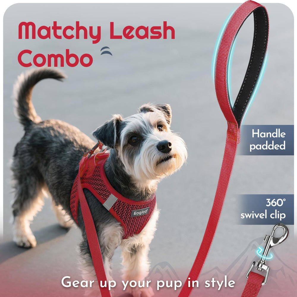 Eagloo small dog harness detail showing the two leash attachment rings.