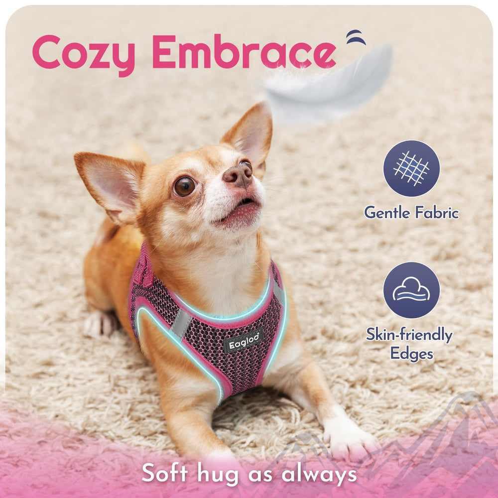 Eagloo small dog harness close-up showing the adjustable hook-and-loop fastening.