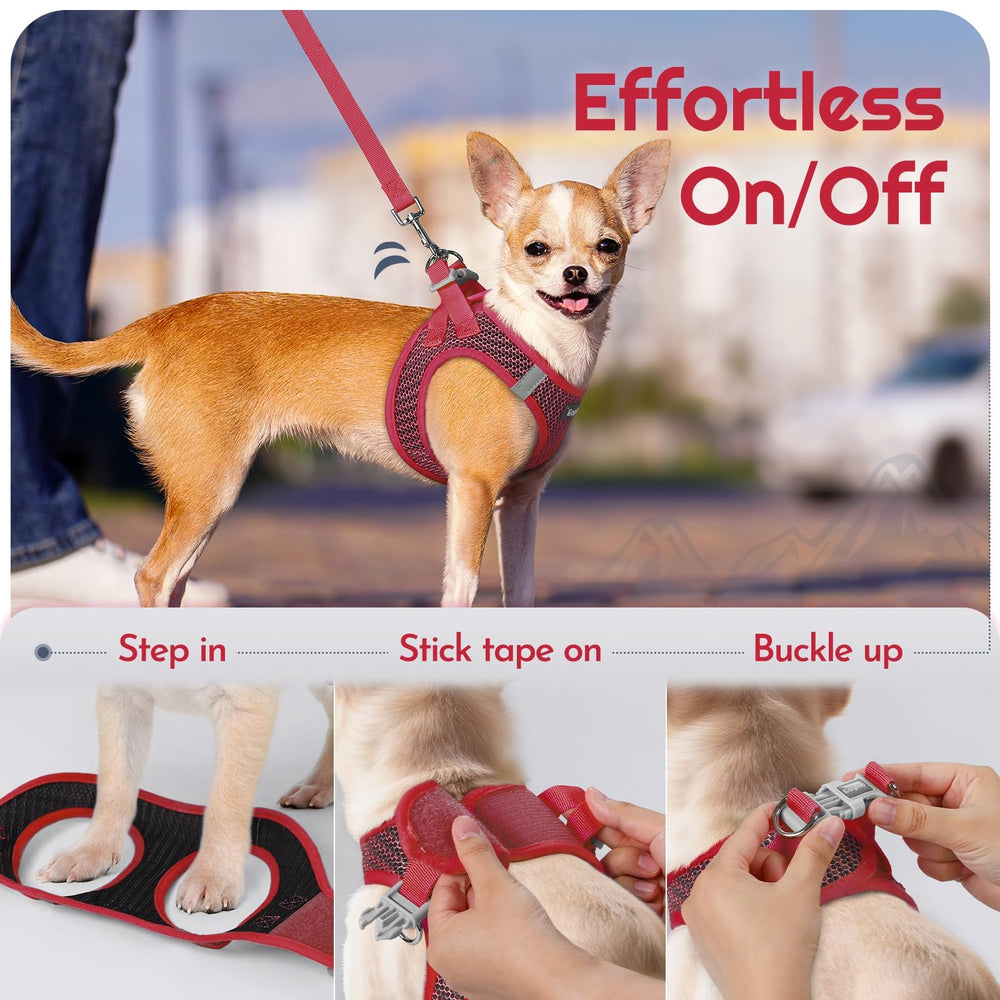 Eagloo small dog harness leash close-up showing the anti-tangle clip.