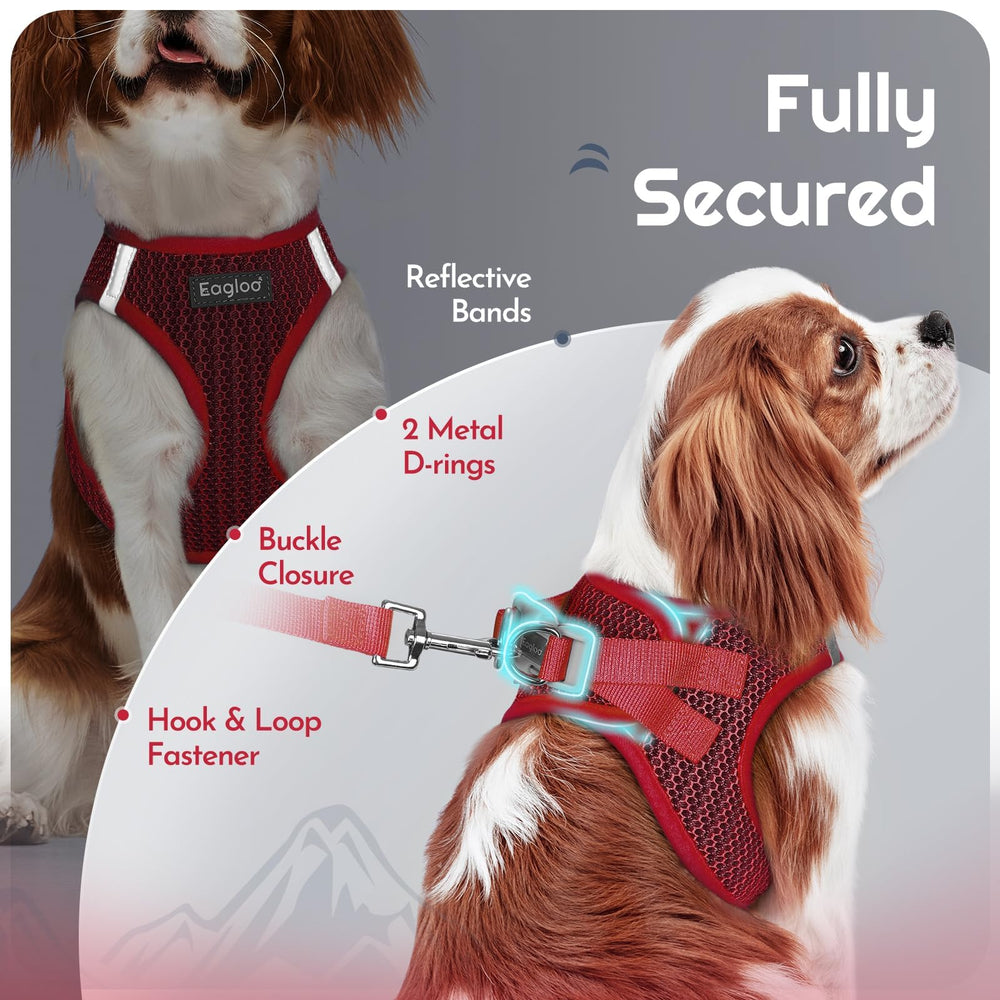 Eagloo small dog harness leash shown with its padded handle.