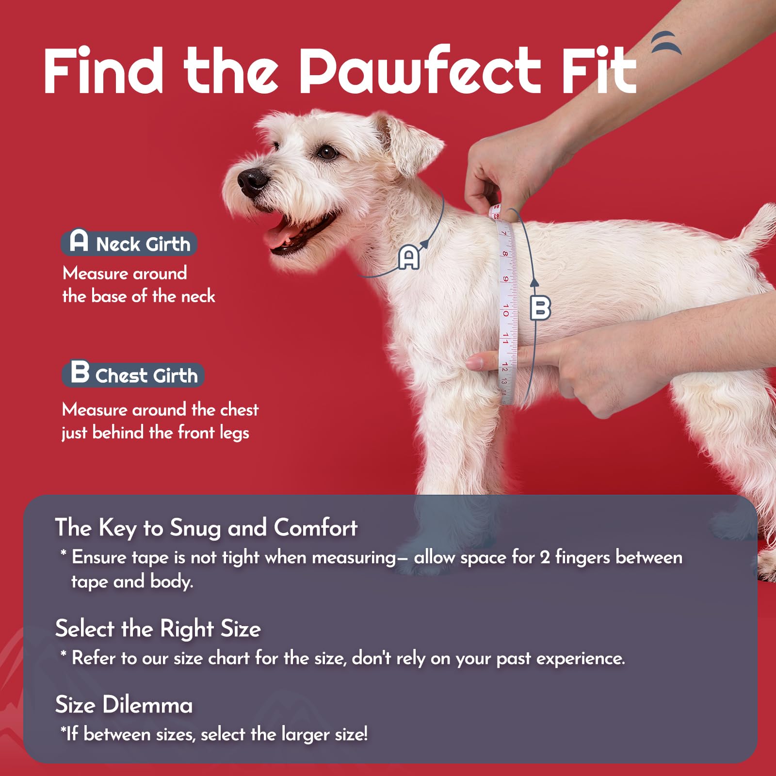 Eagloo small dog harness close-up showing its airy mesh and soft edges.