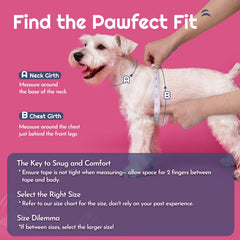 Eagloo small dog harness close-up showing its airy mesh fabric and soft edges.