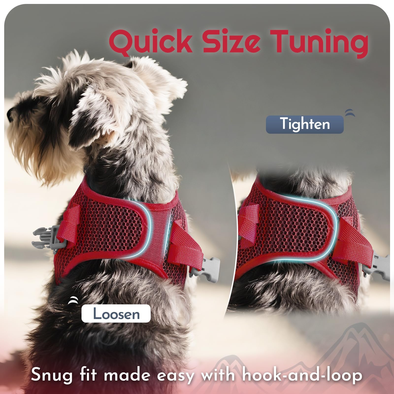 Eagloo small dog harness detail showing its reflective bands.