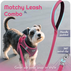 Eagloo small dog harness close-up showing the reflective bands.