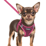 Eagloo small dog harness and leash set shown together from the front.