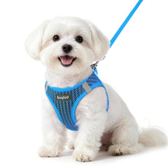 Eagloo small dog harness and leash set shown from the front.