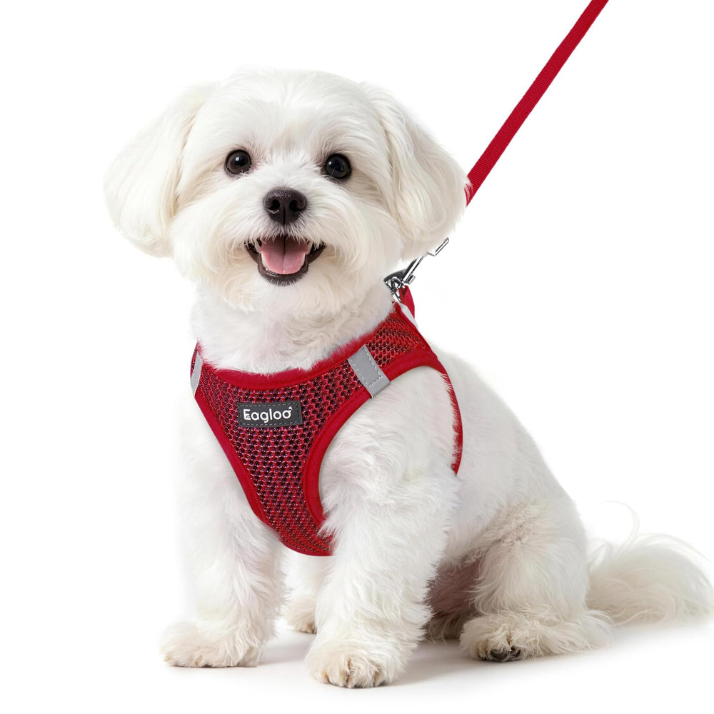 Eagloo small dog harness and leash set shown from the front.
