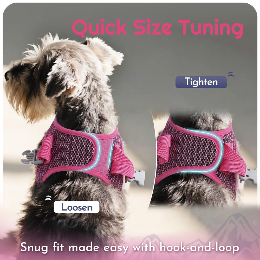 Eagloo small dog harness size guide showing the XXS neck and chest ranges.