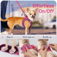 Eagloo small dog leash close-up showing the anti-tangle clip.