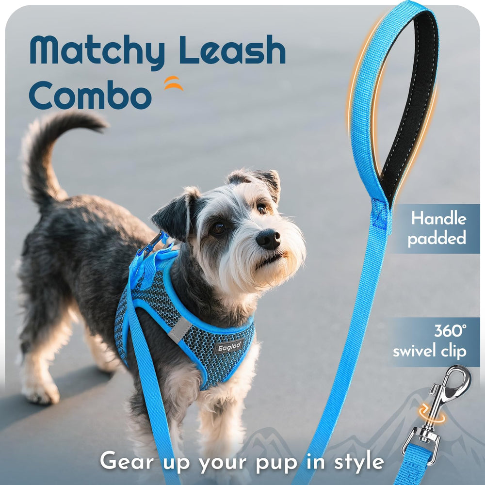 Eagloo small dog leash shown with its padded handle.