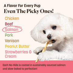 Earth Animal No-Hide Stix Salmon shown as a chew for an extra-small dog.
