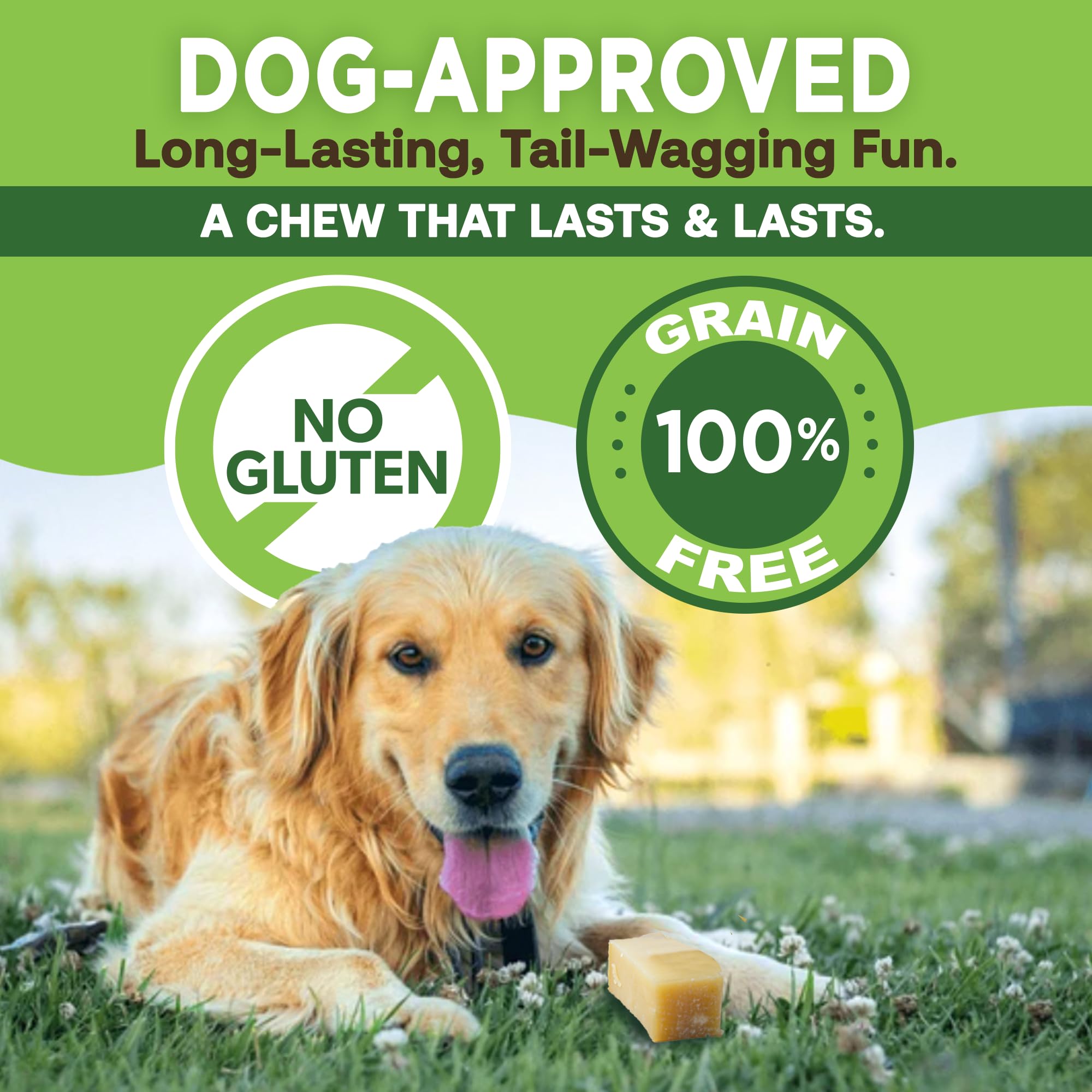 A dog chewing an EcoKind yak cheese dog chew.