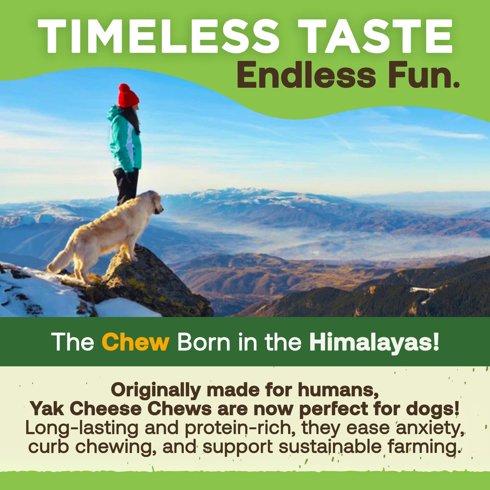 EcoKind yak cheese dog chews with focus on their yak and cow’s milk ingredients.