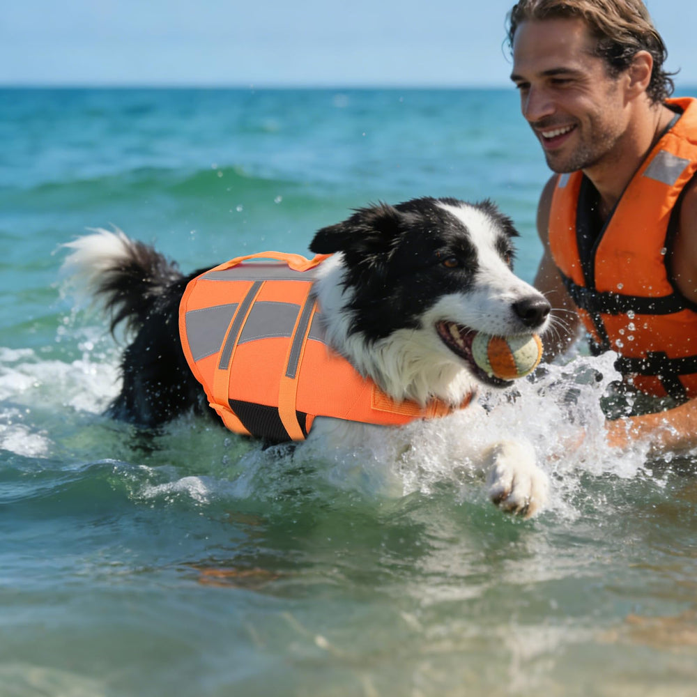 EMUST Dog Life Jacket shown on a dog swimming.