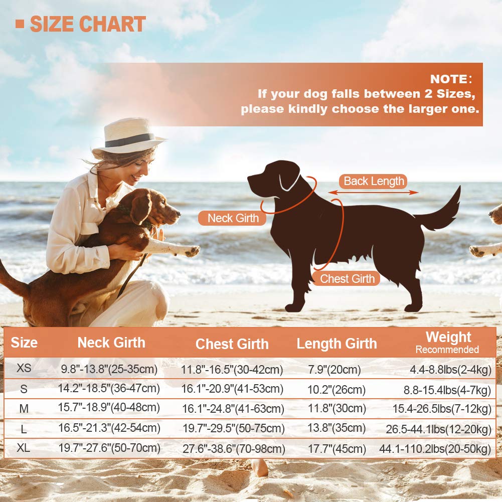 EMUST Dog Life Jacket Shark showing the leash D-ring and reflective stripes.