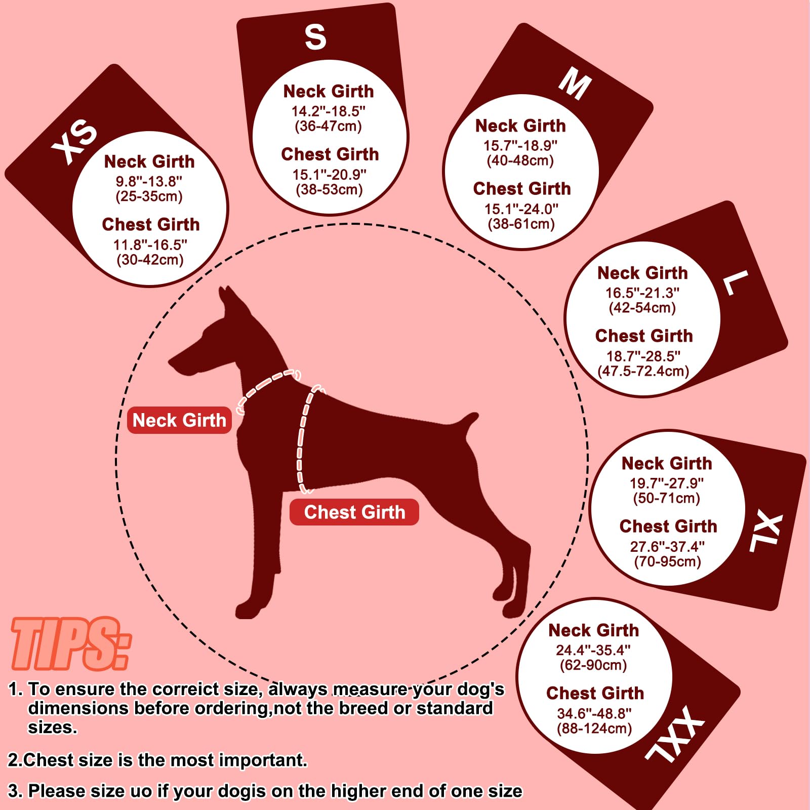 EMUST Dog Life Jacket detail showing the heavy-duty leash D-ring.