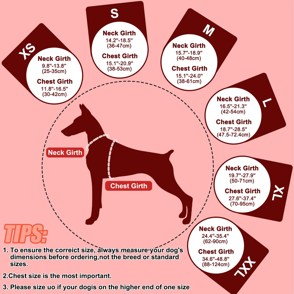 EMUST Dog Life Jacket detail showing the heavy-duty leash D-ring.