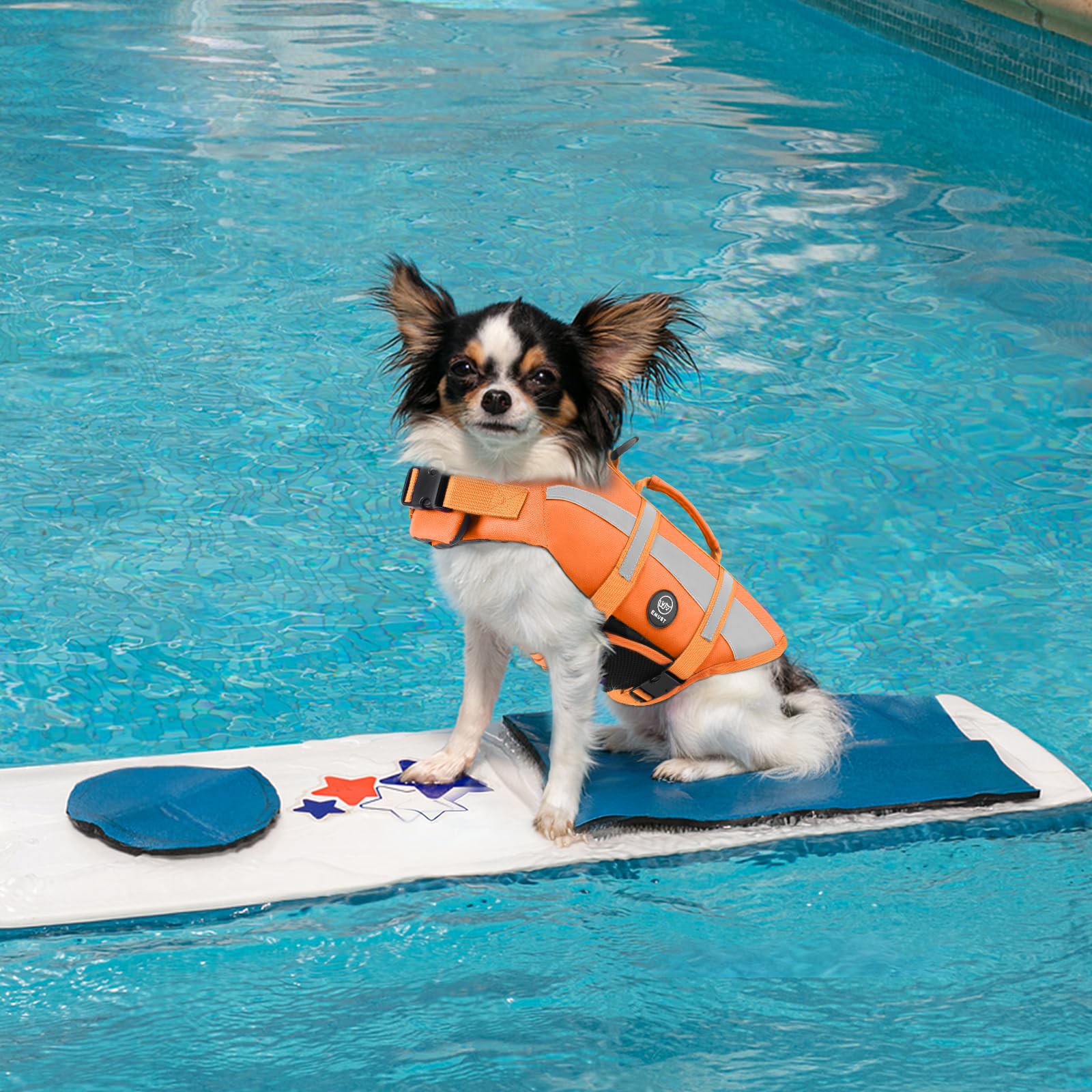 Top rescue handle on the EMUST dog life jacket.