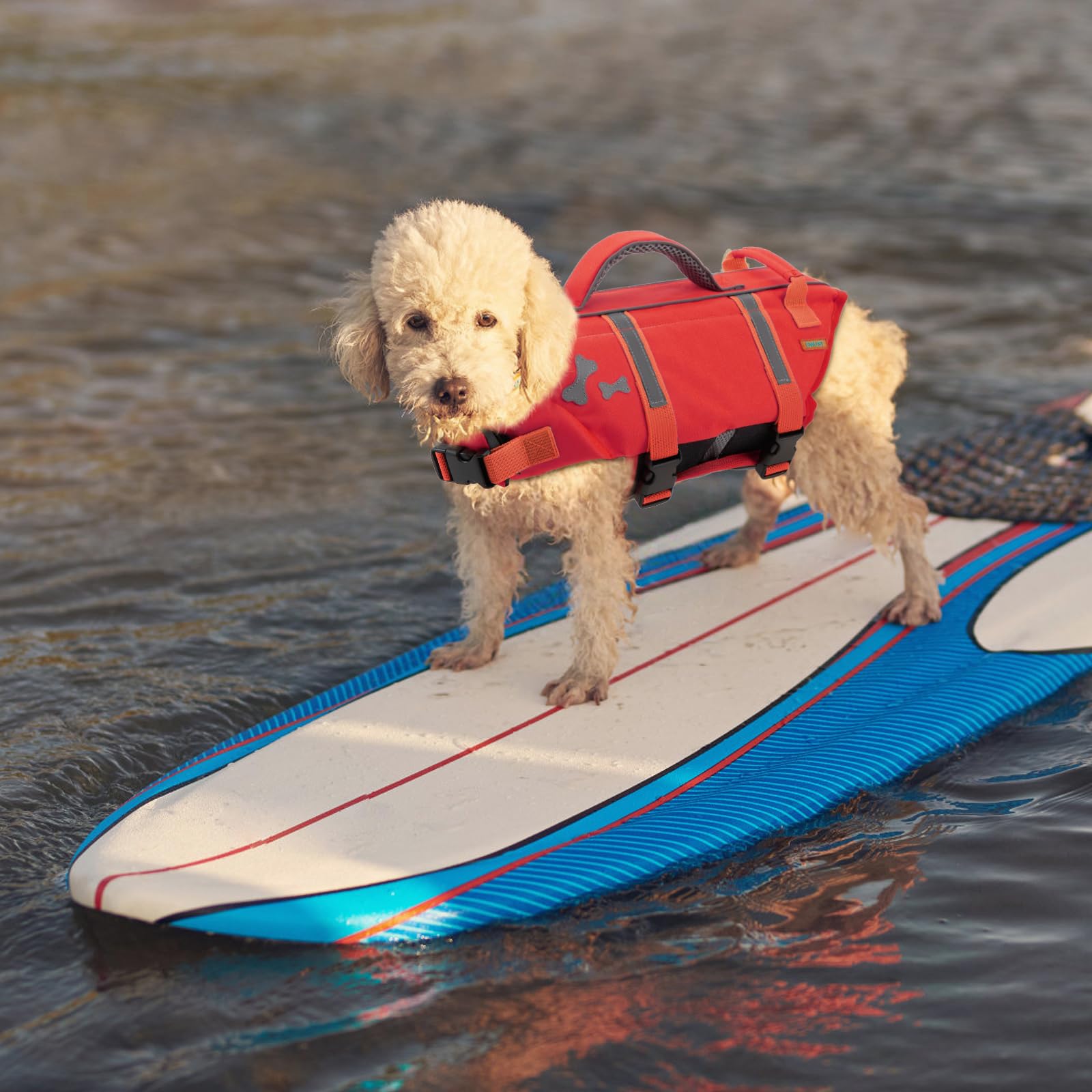 EMUST Dog Life Jacket shown during a dog water activity.