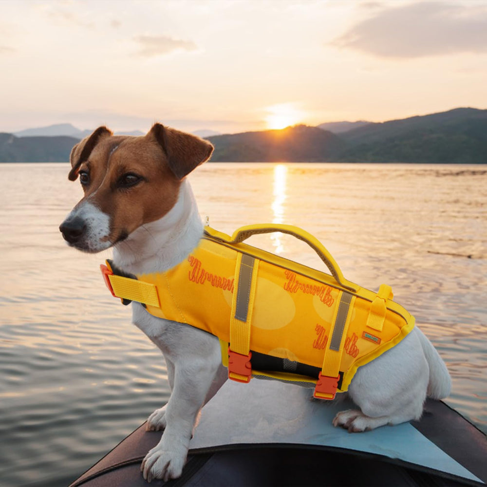 EMUST Dog Life Jacket shown on a dog during water activities.
