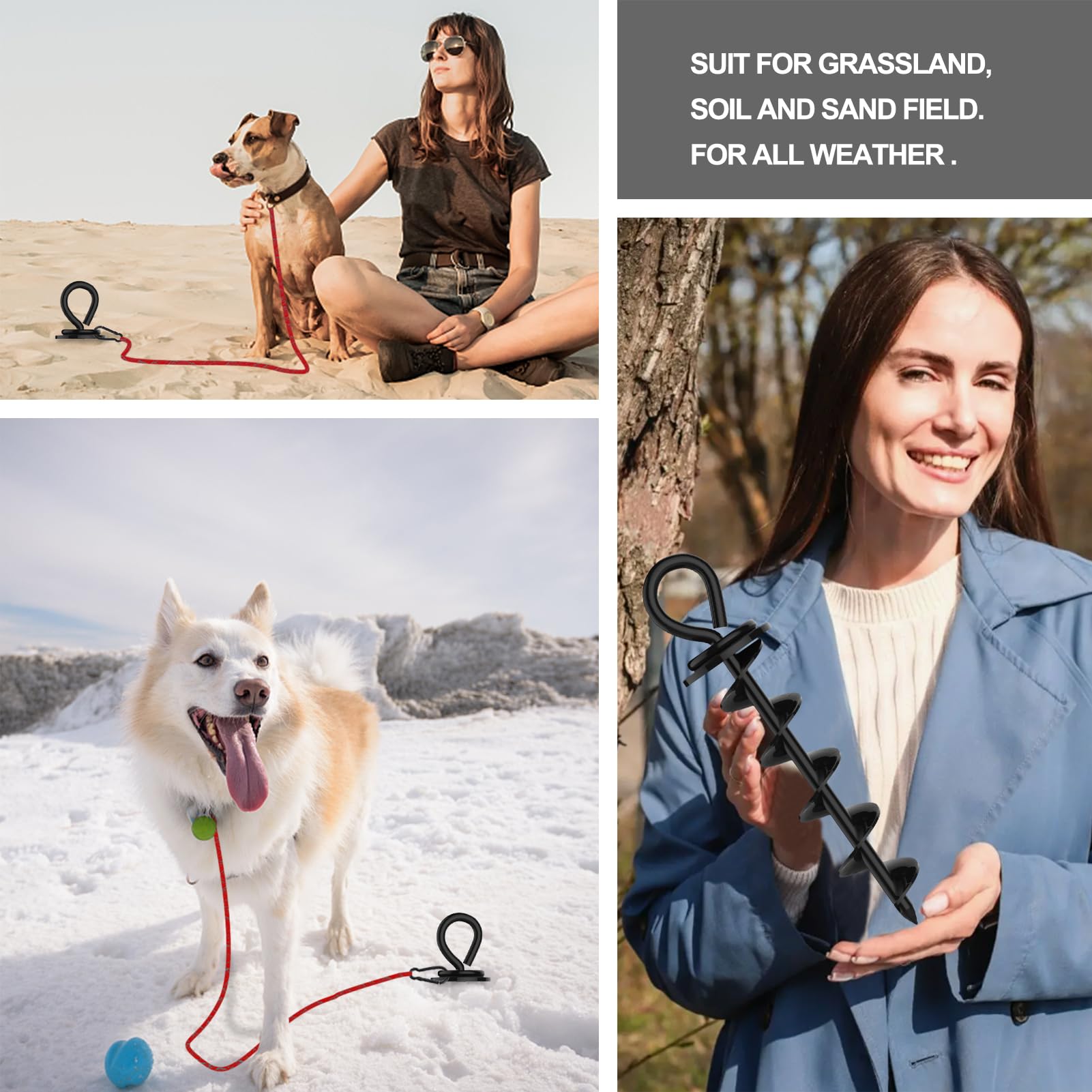 Eurmax dog tie-out stake shown with its leash clip.