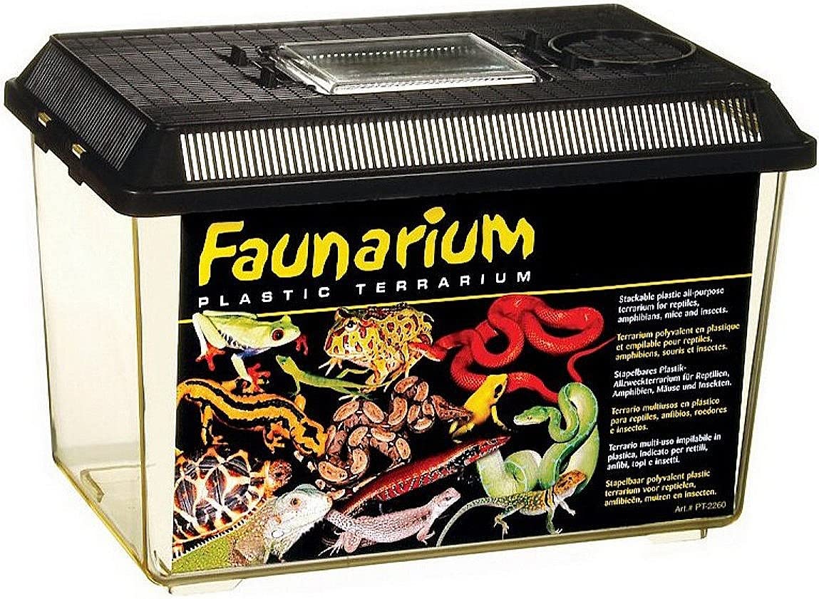 Exo Terra Faunarium medium plastic terrarium shown from the front.