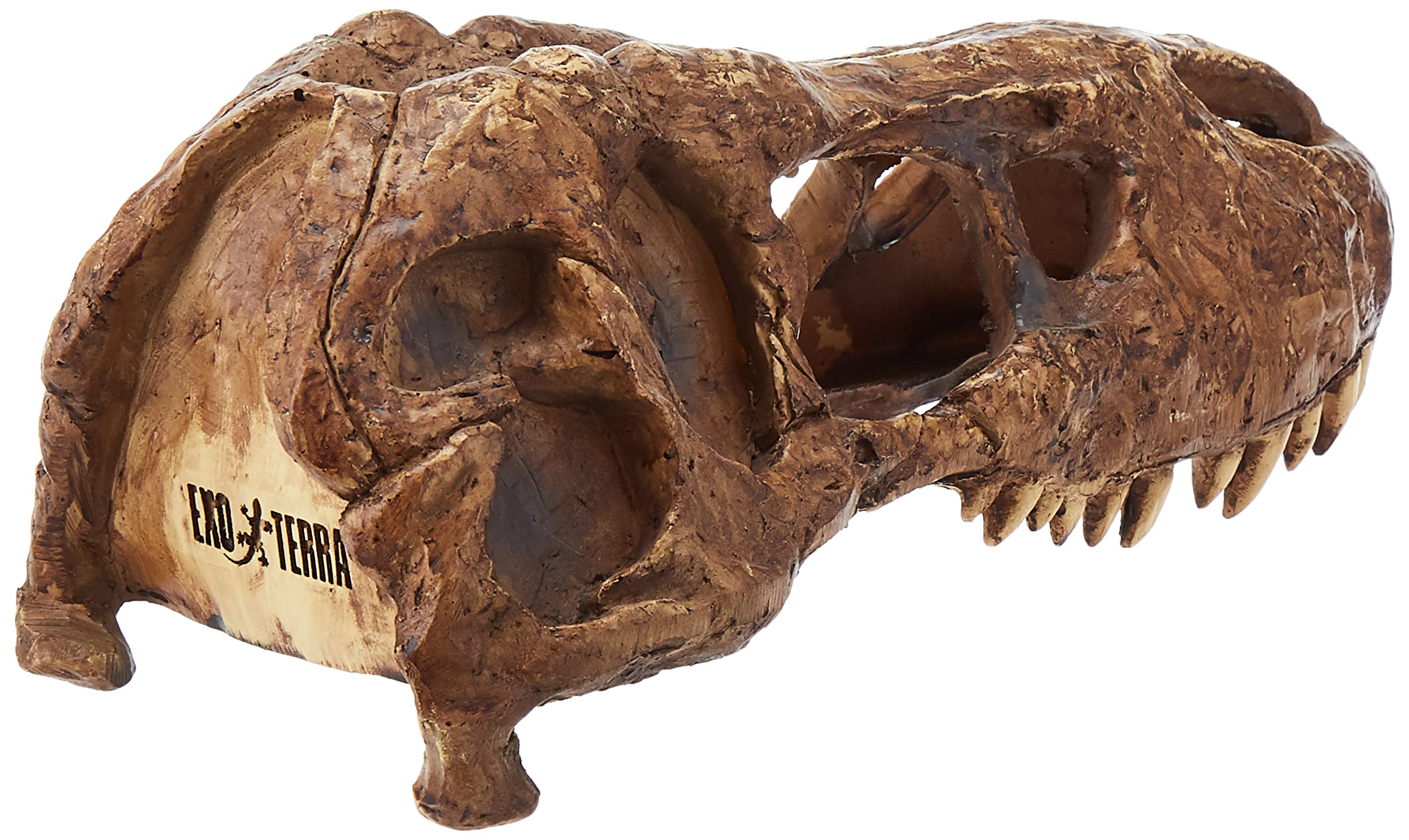 Exo Terra T-Rex Skull Terrarium Decor close-up showing the entrances to its hideout.