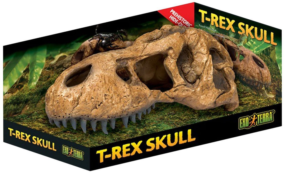 Exo Terra T-Rex Skull Terrarium Decor shown from the front with its fossil-inspired skull shape.
