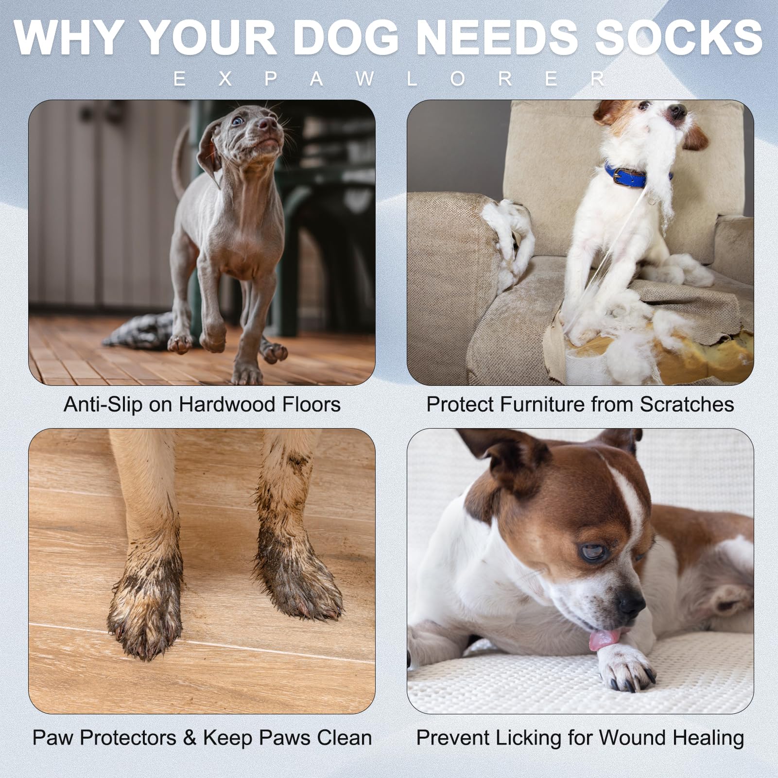 EXPAWLORER dog socks showing the adjustable, detachable fastening belt.