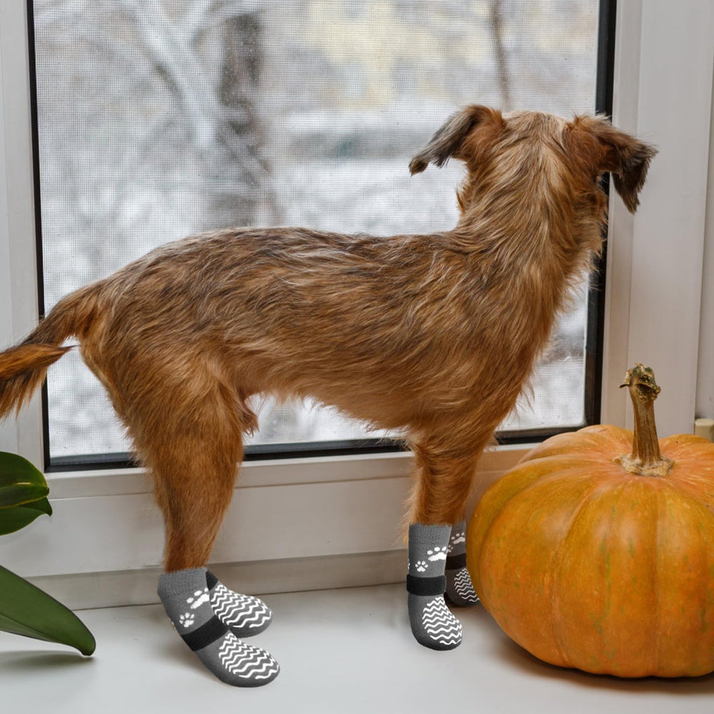 EXPAWLORER dog socks showing the adjustable detachable belt and loop fastener.