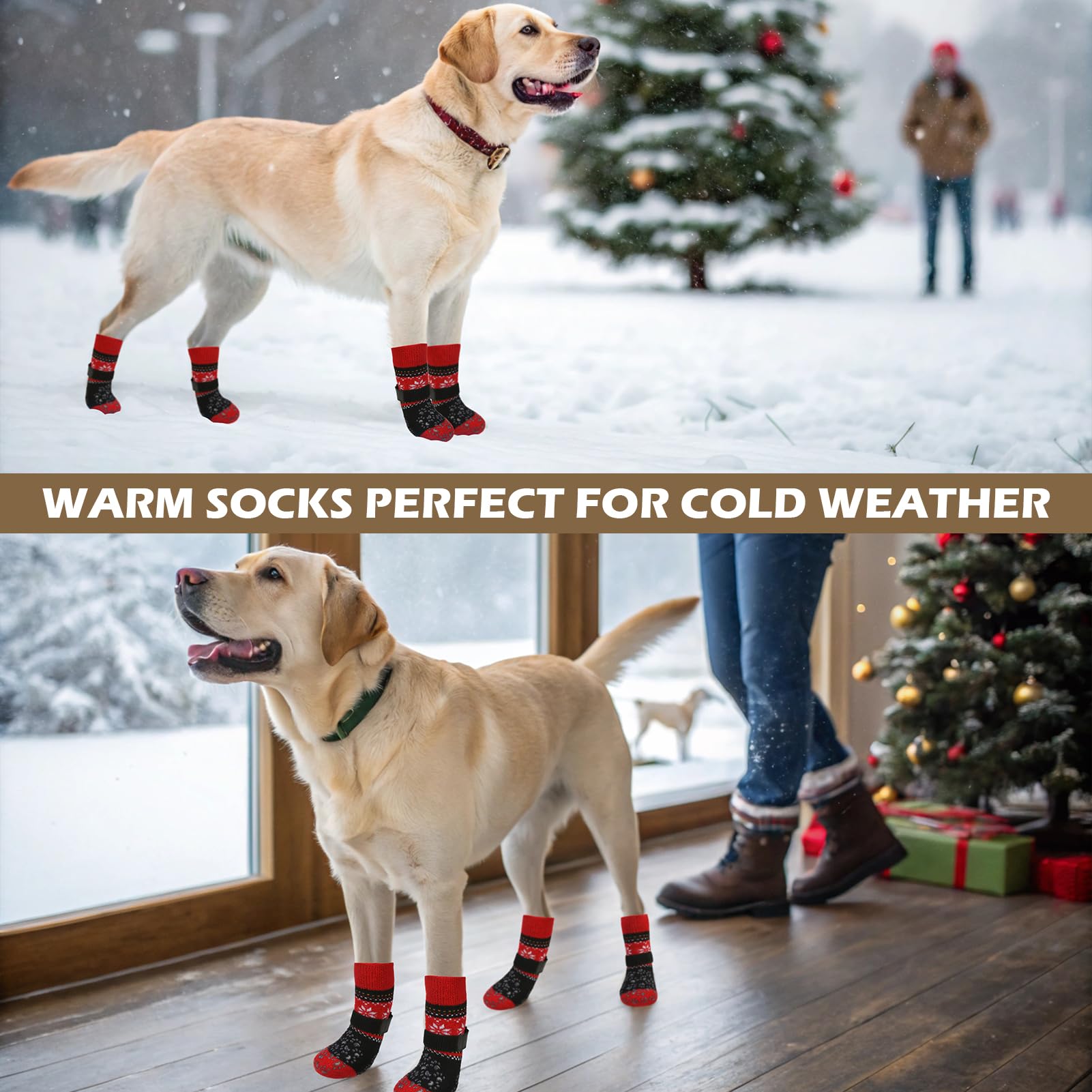 EXPAWLORER dog socks shown in a festive pattern.