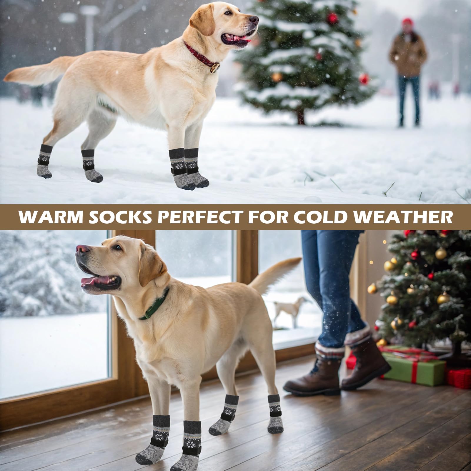 EXPAWLORER dog socks displaying a festive pattern.