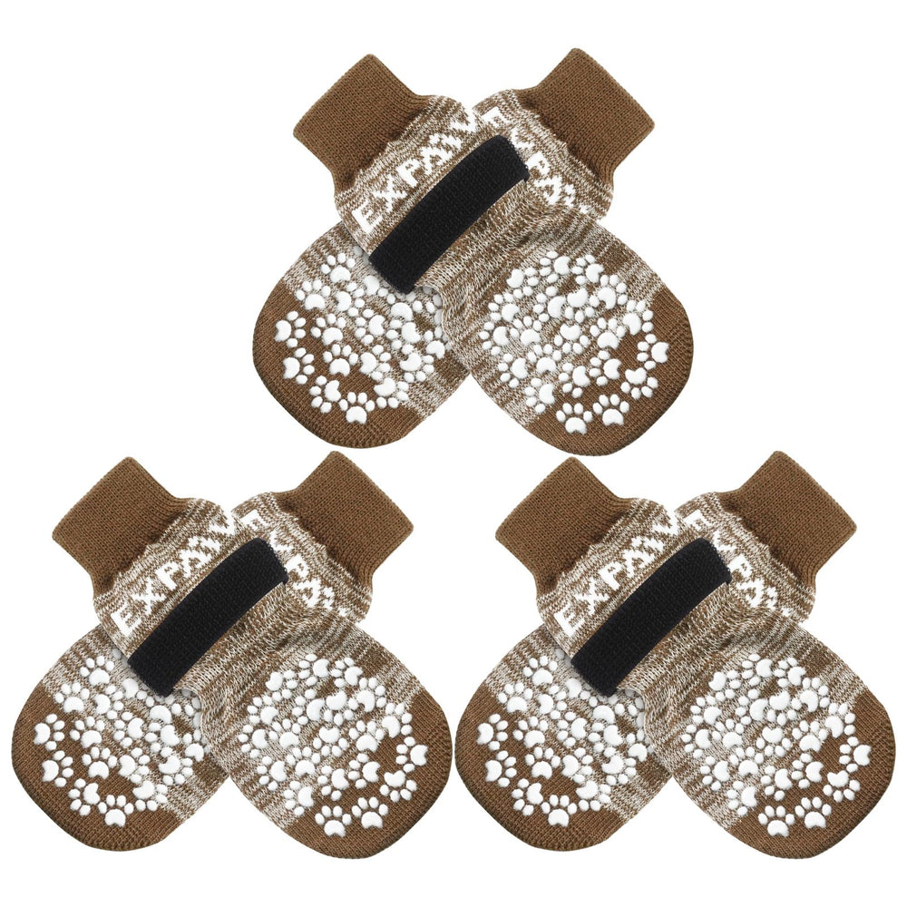 EXPAWLORER dog socks shown together as a six-piece set.