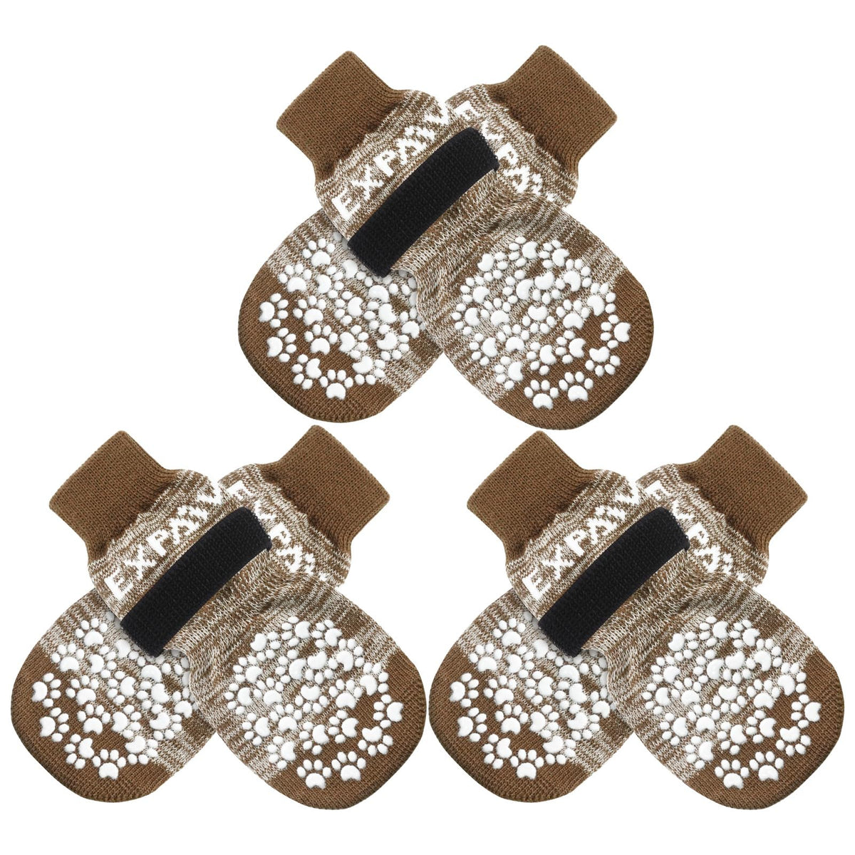 EXPAWLORER dog socks shown together as a six-piece set.