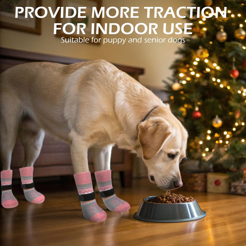 EXPAWLORER dog socks shown being worn on a dog's paws.