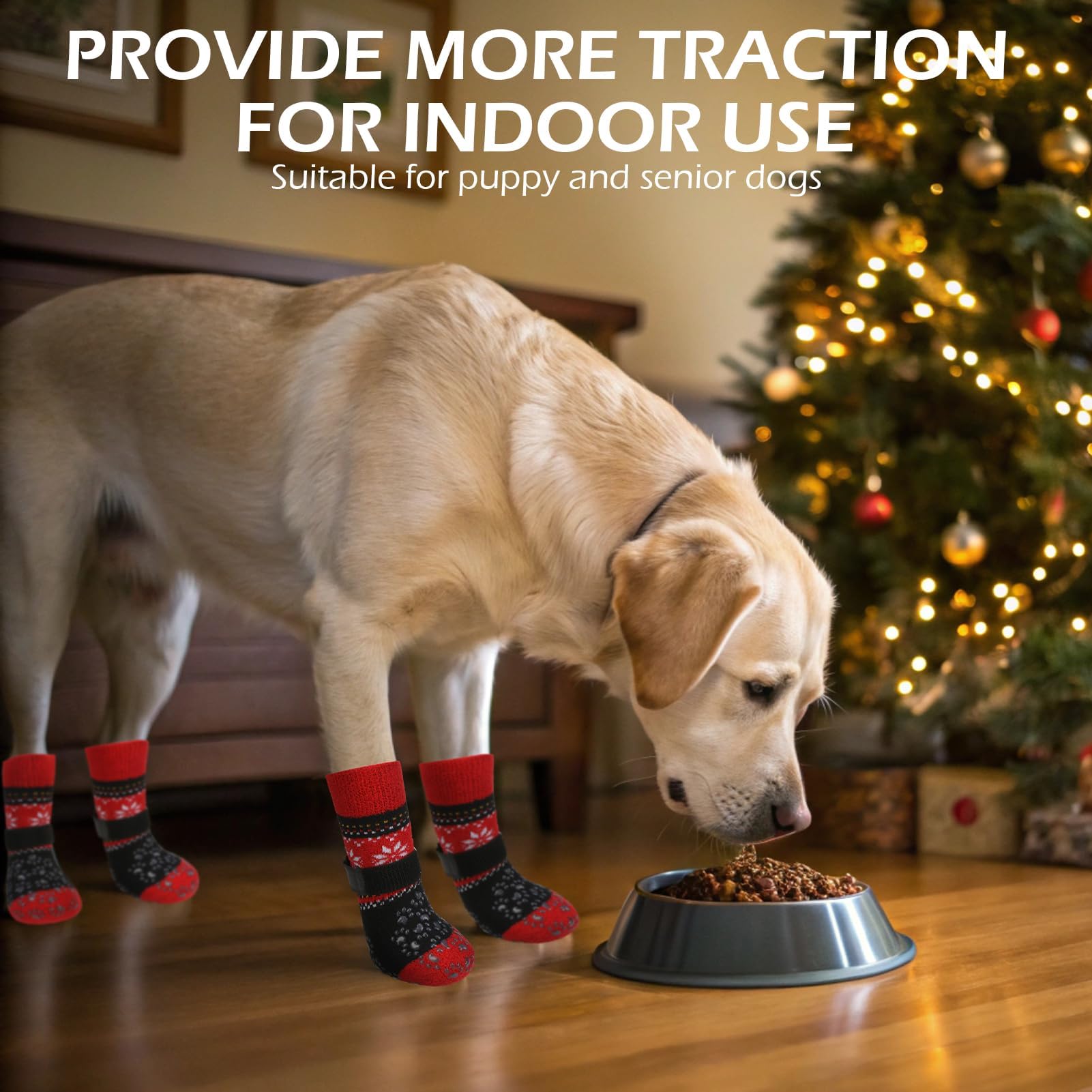 EXPAWLORER dog sock shown worn on a dog's paw.