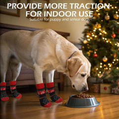 EXPAWLORER dog sock shown worn on a dog's paw.