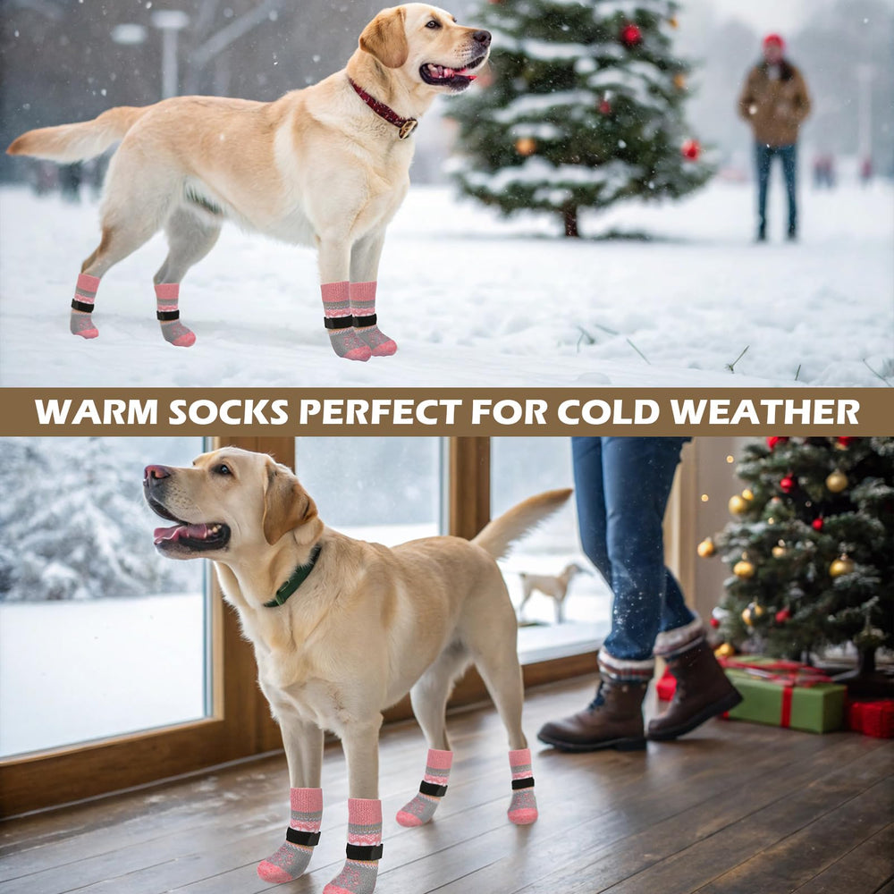 EXPAWLORER dog socks displaying a festive pattern option.