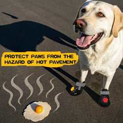 EXPAWLORER EVA dog shoes with the adjustable strap fastened.