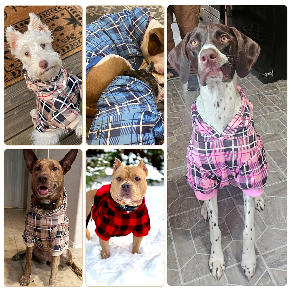 EXPAWLORER Plaid Dog Hoodie shown worn by a small cat.