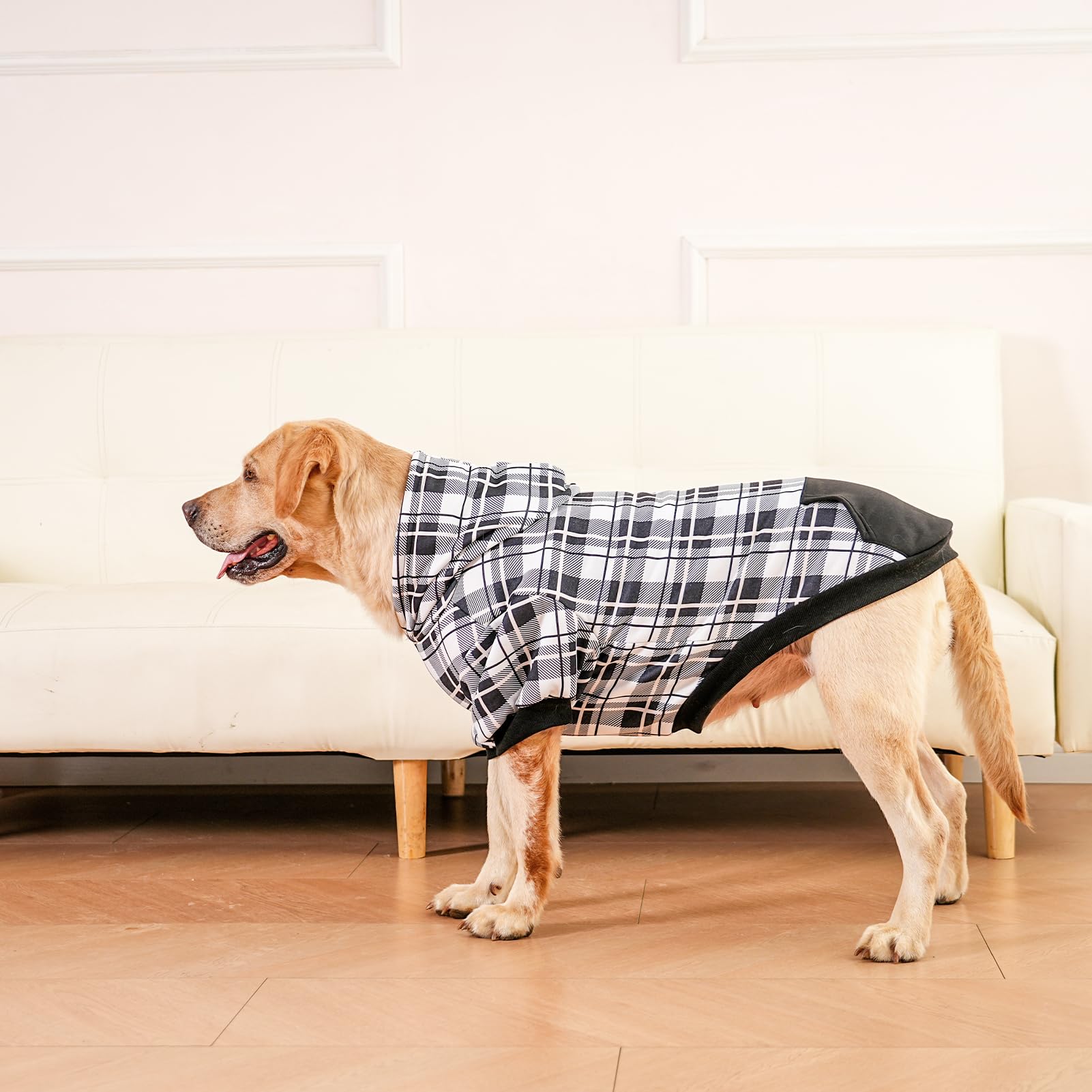 EXPAWLORER plaid dog hoodie worn by a small cat.