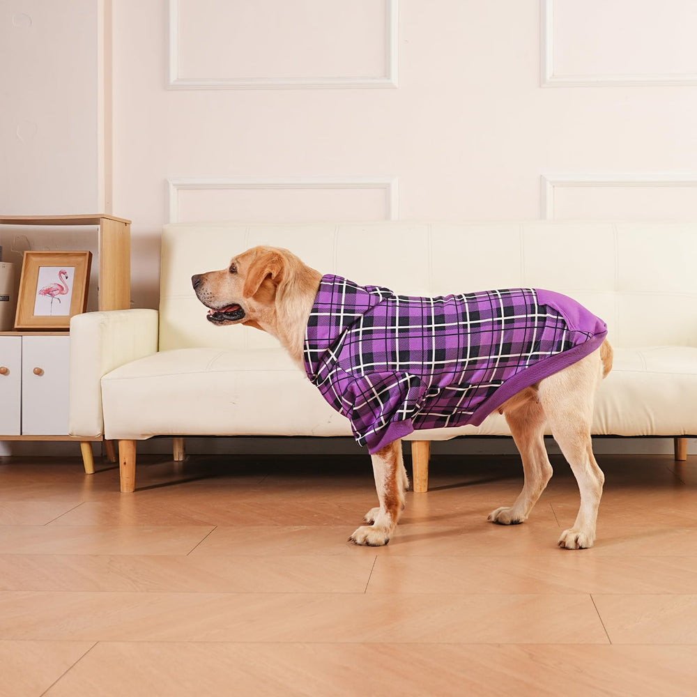 EXPAWLORER Plaid Dog Hoodie detail highlighting the back treat pocket.