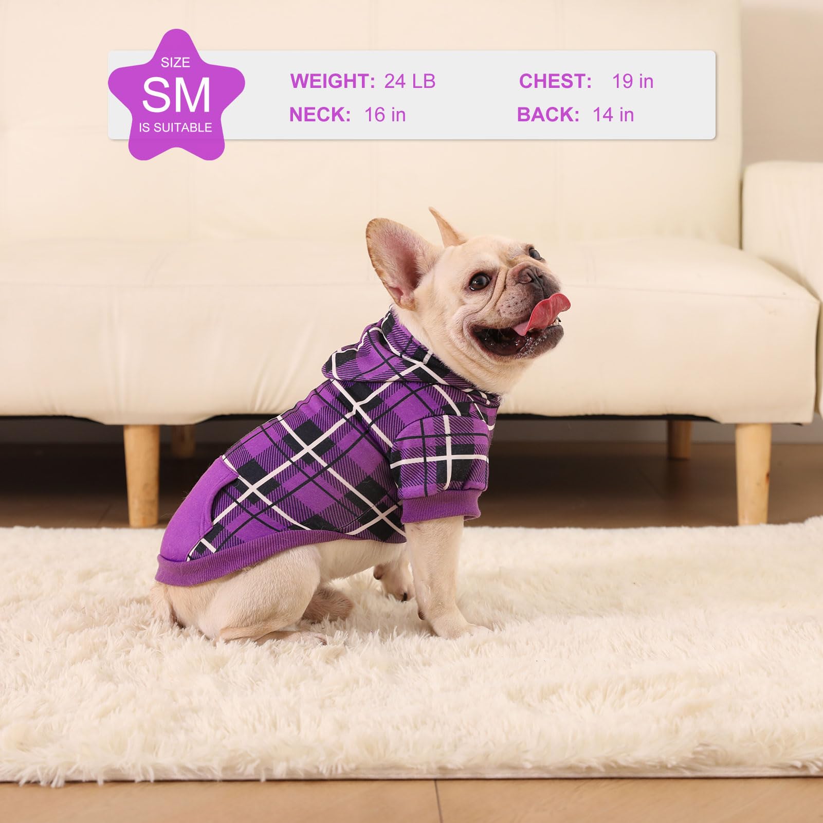 EXPAWLORER plaid dog hoodie worn by a dog.