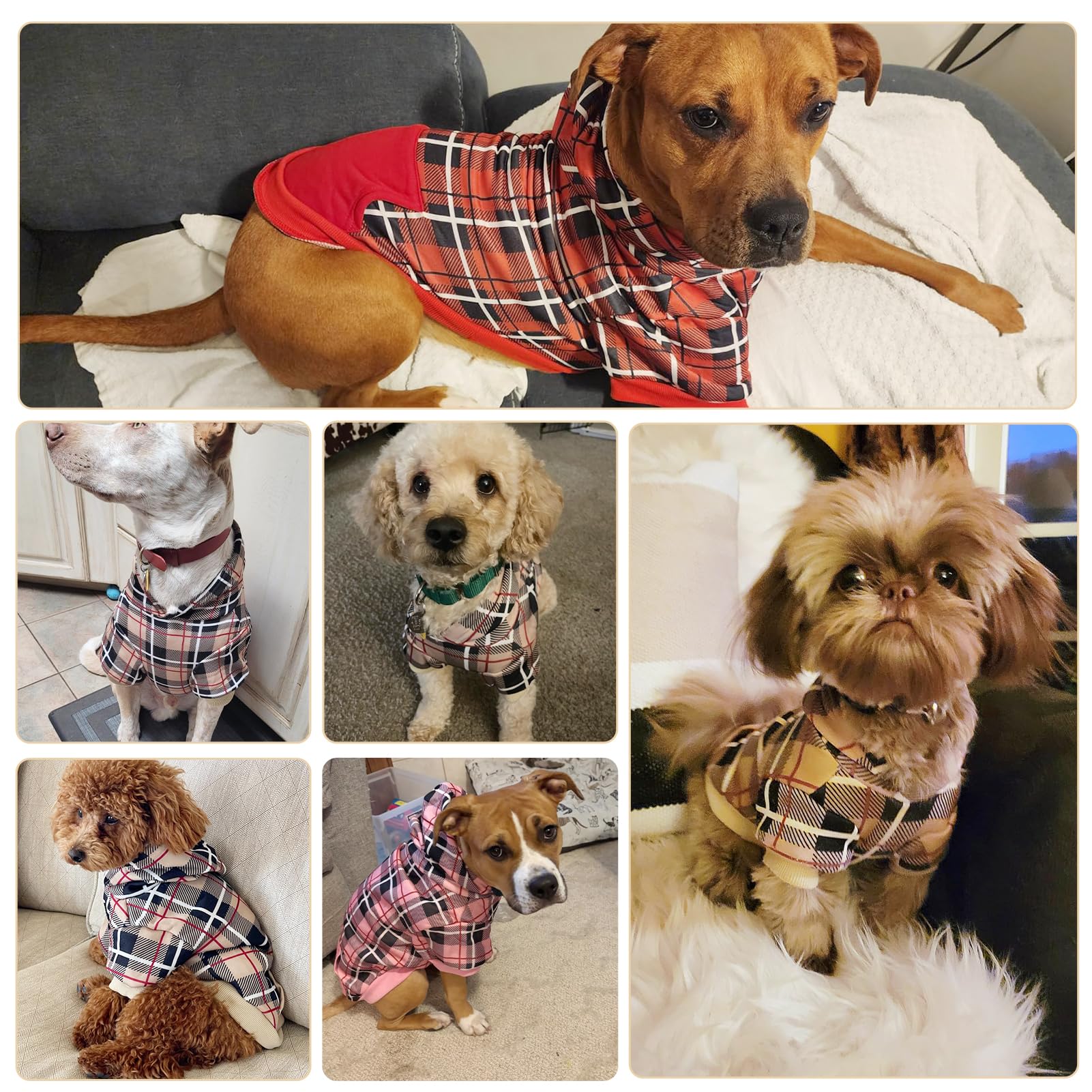 EXPAWLORER Plaid Dog Hoodie shown being worn by a pet.