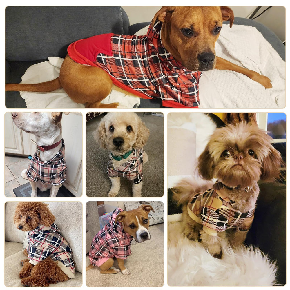 EXPAWLORER Plaid Dog Hoodie shown being worn by a pet.