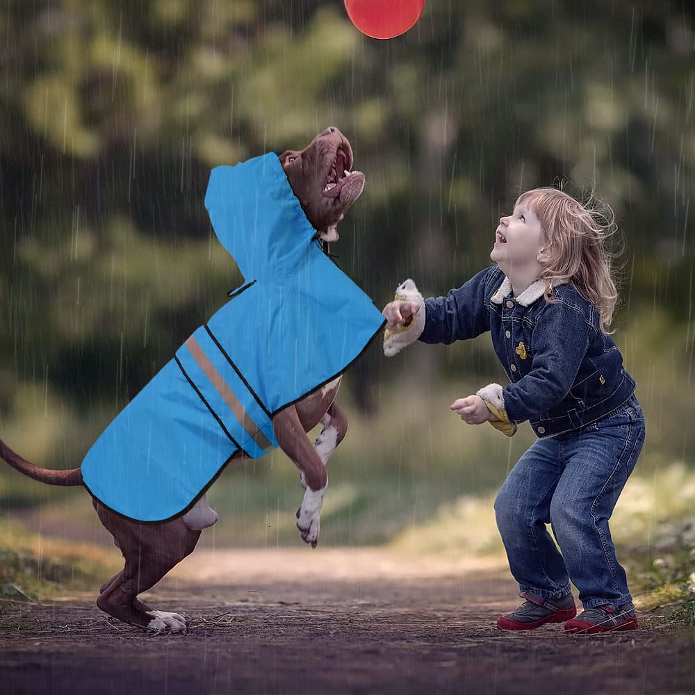 Ezierfy dog raincoat folded for compact storage.