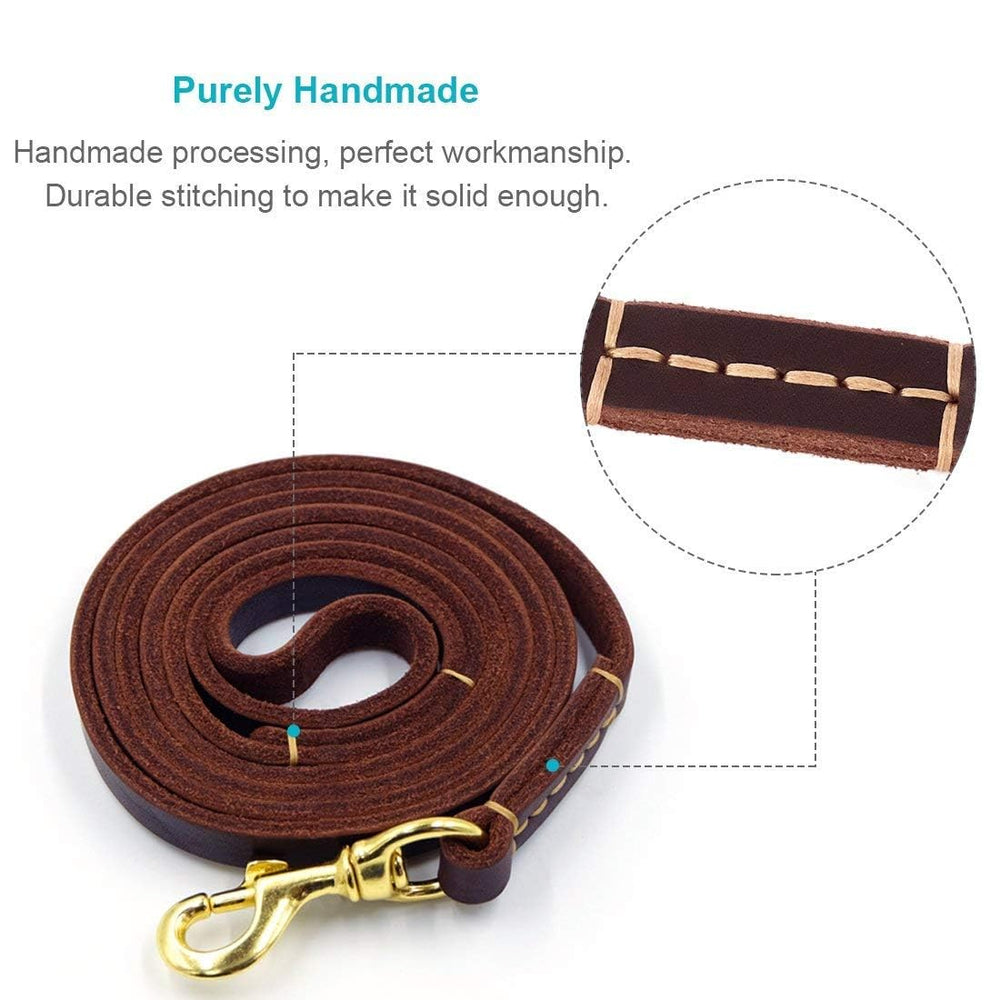 FAIRWIN leather dog leash shown with its exclusive box packaging.