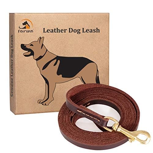 FAIRWIN leather dog leash close-up showing its genuine leather construction.